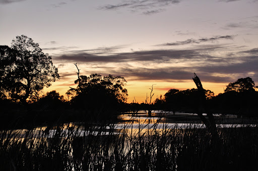 Gunbower National Park - Thumbnail