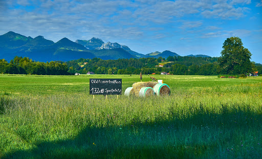 TSV Übersee - Visual