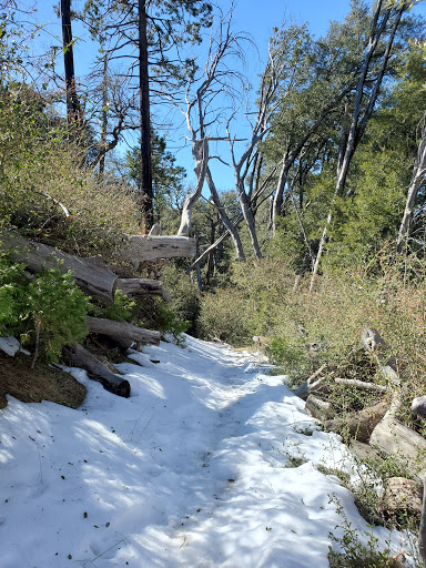 Cuyamaca Peak Trailhead - Thumbnail