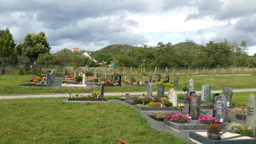 Friedhof Wintzingerode - Visual