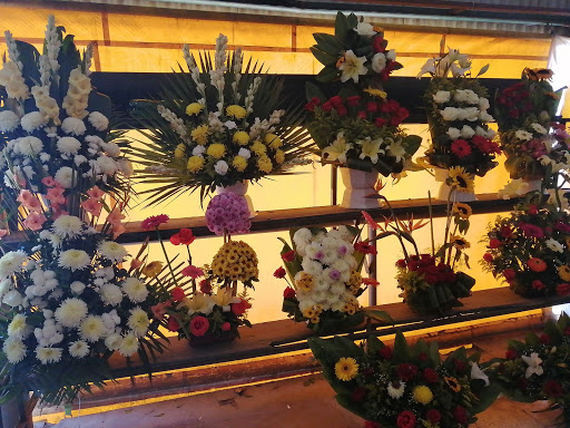 Floristas Pollito - Thumbnail