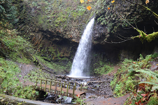 Upper Latourell Falls - Visual