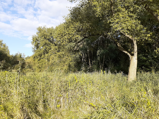 Ruschdahlmoor - Thumbnail