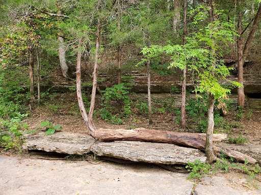 Barfield Crescent Park - Thumbnail