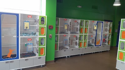 veterinary-care