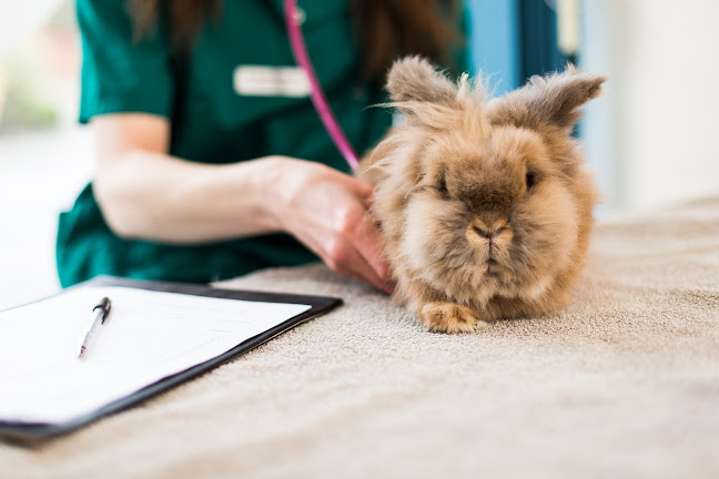 Heartland Veterinary Services Ltd Open Times