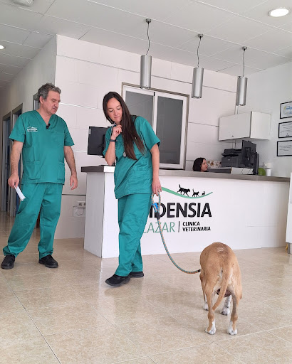 Evidensia Alcázar Clínica Veterinaria