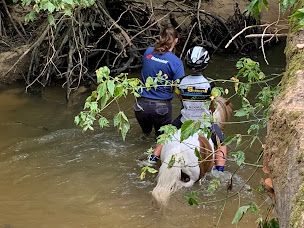 Photo n°10 de L'Equit de Lulu à Sarbazan (Service de tours de poneys)