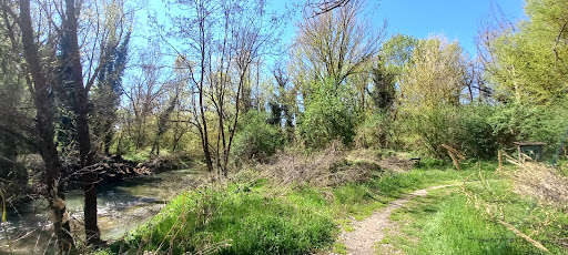 Stazione 1 , Il bosco golenale e il pendolino - Thumbnail