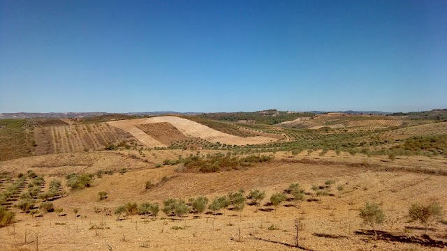Valpaços