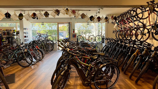 Radsport Reichel Handels-GmbH