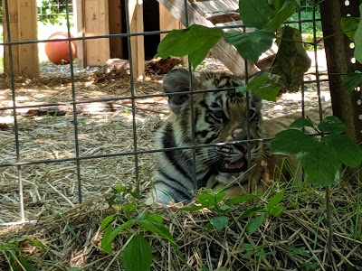 Exotic Feline Rescue Center