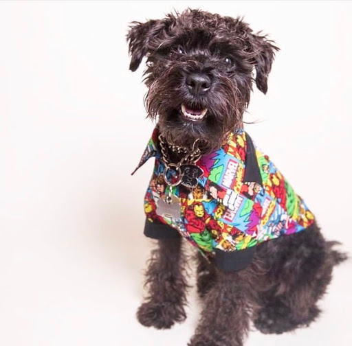 Ruff Stitched - Visual
