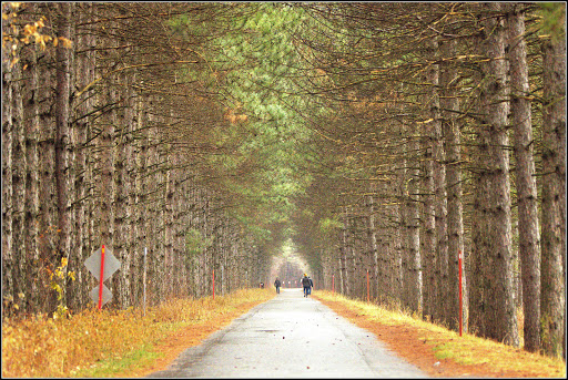 Park of the Beaudet Reservoir - Thumbnail