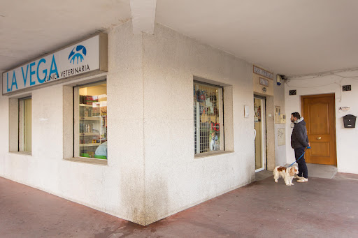 Clínica Veterinaria La Vega Veterinario 24 horas Salamanca