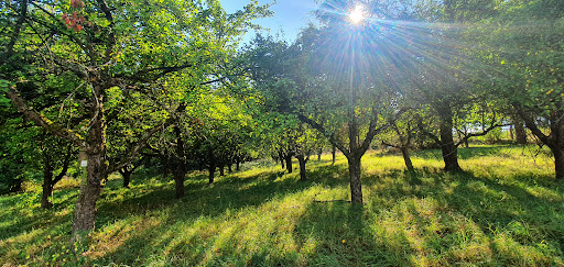 Römisches Landgut - Thumbnail