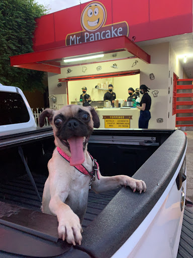 Mr. Pancake - Visual