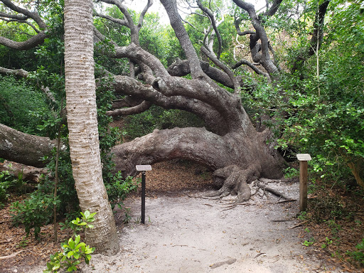 Ponce Preserve East Parking - Thumbnail