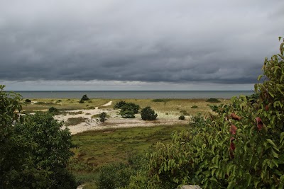 Cape Cod Museum Of Natural History