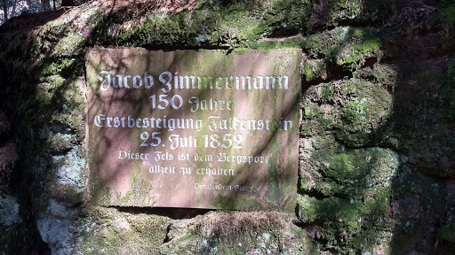 Kletterfelsen Falkenstein - Visual