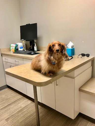 Foothills Veterinary Hospital - South