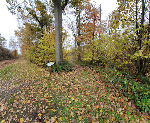 Tassoniere Woods