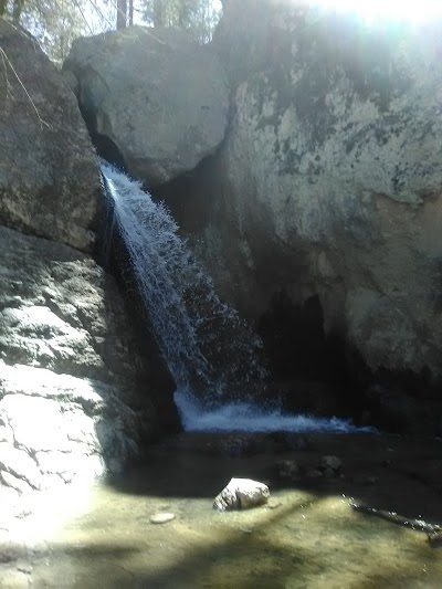 Photos of Rio En Medio Trail