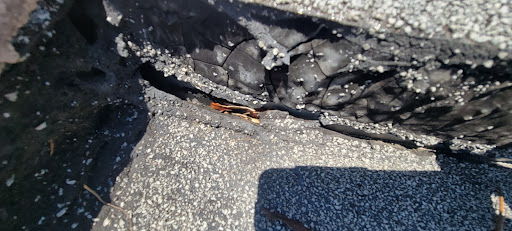 The Flat Roof Specialist - Thumbnail