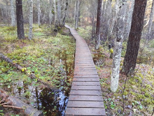 Kõnnu järve matkarada