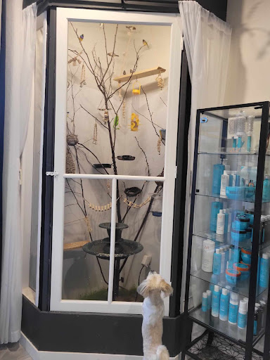 Love animalerie et garderie