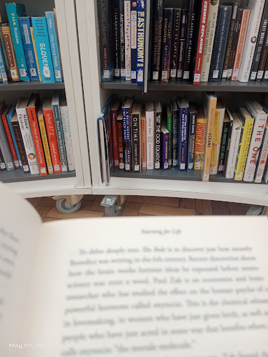 Gravesend Library - Visual