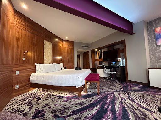 Hard Rock Hotel Guadalajara - Thumbnail