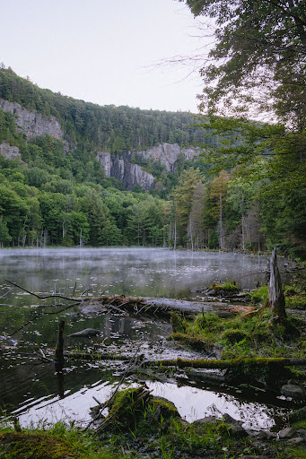 Mont Shaw - Visual