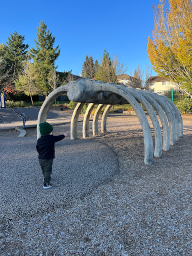 Ibach Park - Visual