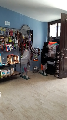 CENTRO VETERINARIO CINCINNATI - Thumbnail
