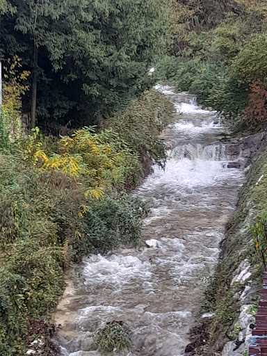 Rio Molino - Thumbnail