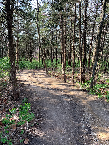 MacLennan Park Trail - Thumbnail