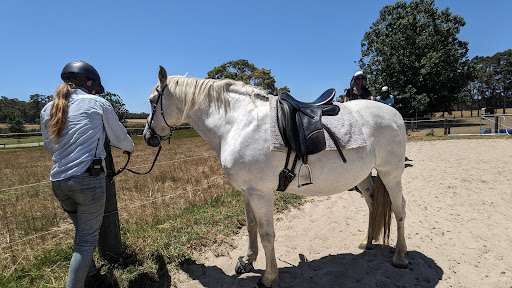 The Horse Resort - horse riding in Margaret River