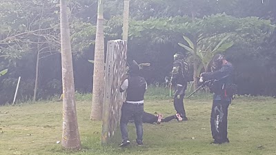 Photos of Zipline Park