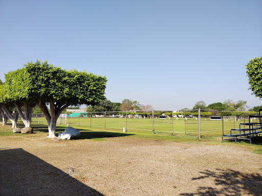 Campos Deportivos Domingo Sabio Gallery - Mexico