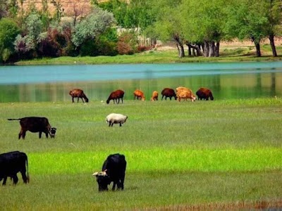 Band E Chak, Water Dam