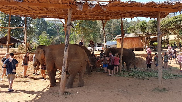 Elephant Jungle Sanctuary