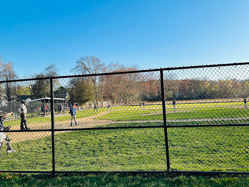 Conant Field - Visual