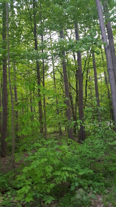 Hanging Bog Wildlife Management Area