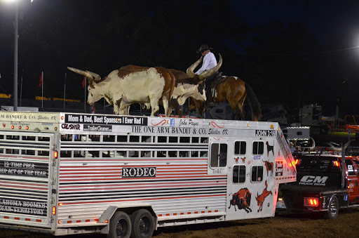 Hamel Rodeo & Bull Ridin' Bonanza - Thumbnail