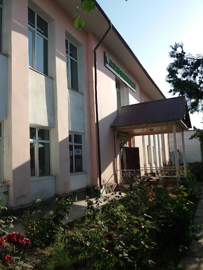 stadium