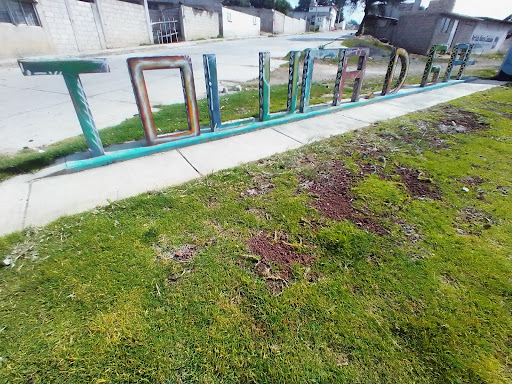 Panteón municipal "Toluca de Guadalupe" - Thumbnail