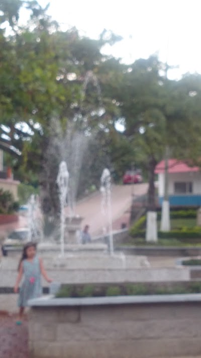 Photos of Agrotena