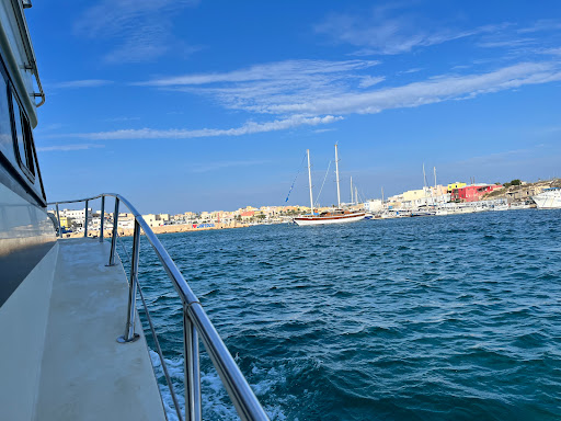 Gita in Barca Delfino Blu Lampedusa - Thumbnail