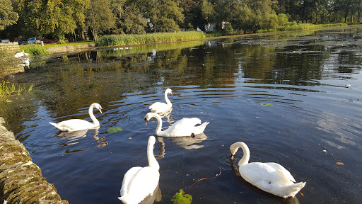 Lochside Caravan Park - Thumbnail
